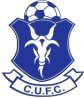 Colepark United FC